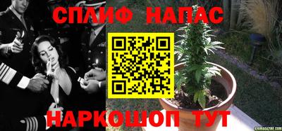 мяу мяу мука Ликино-Дулёво