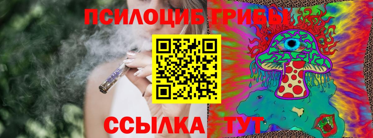 Галлюциногенные грибы GOLDEN TEACHER Кореновск